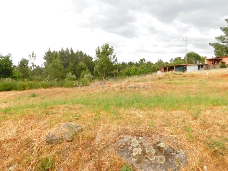 Land with 625sqm Seia
