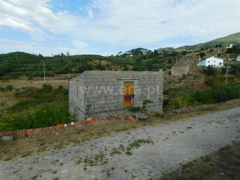 Land with 1350sqm Seia - electricity, fruit trees