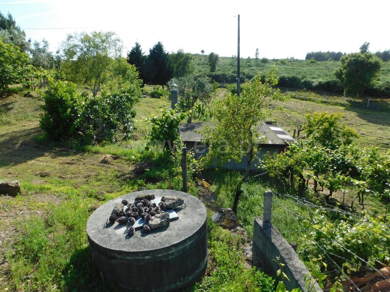 Quintinha Paranhos Seia - água, árvores de fruto, poço, oliveiras, electricidade