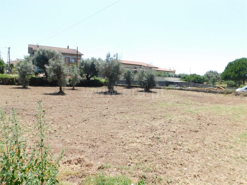 Land with 900sqm Seia