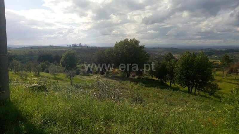 Land with 2500sqm Seia - construction viability