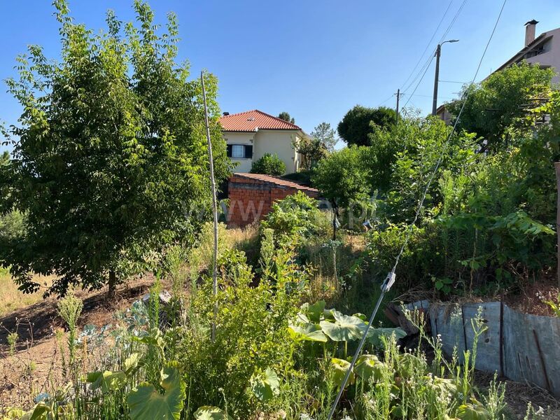 Terreno com 1630m2 Seia - viabilidade de construção