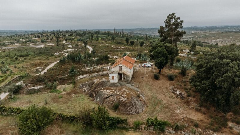 Farm Seia - cork oaks, olive trees, well, water, tank