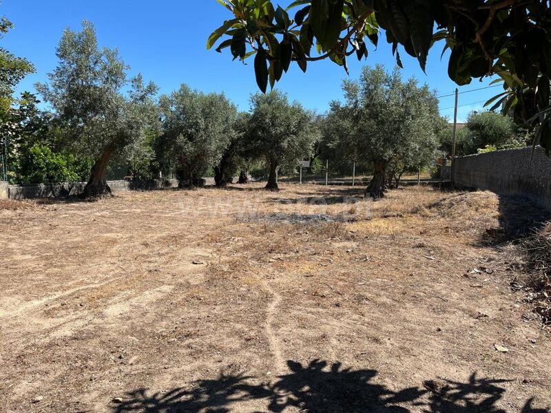 Land with 655sqm Cativelos Gouveia - ,