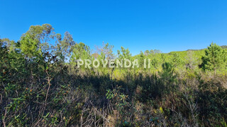 Land with 78000sqm Aljezur - water, electricity, water hole