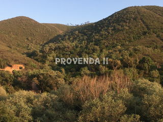 Quinta/Herdade Barranco da Figueira Aljezur - poço, água, tanque, sobreiros